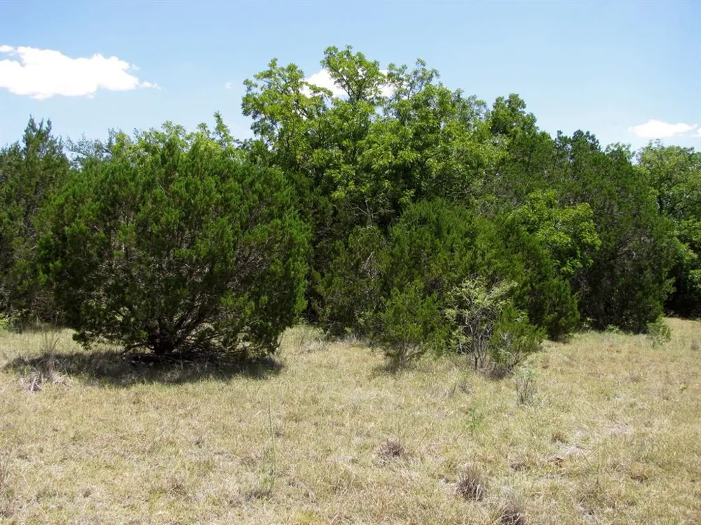 PR4218 Evant, TX 76525