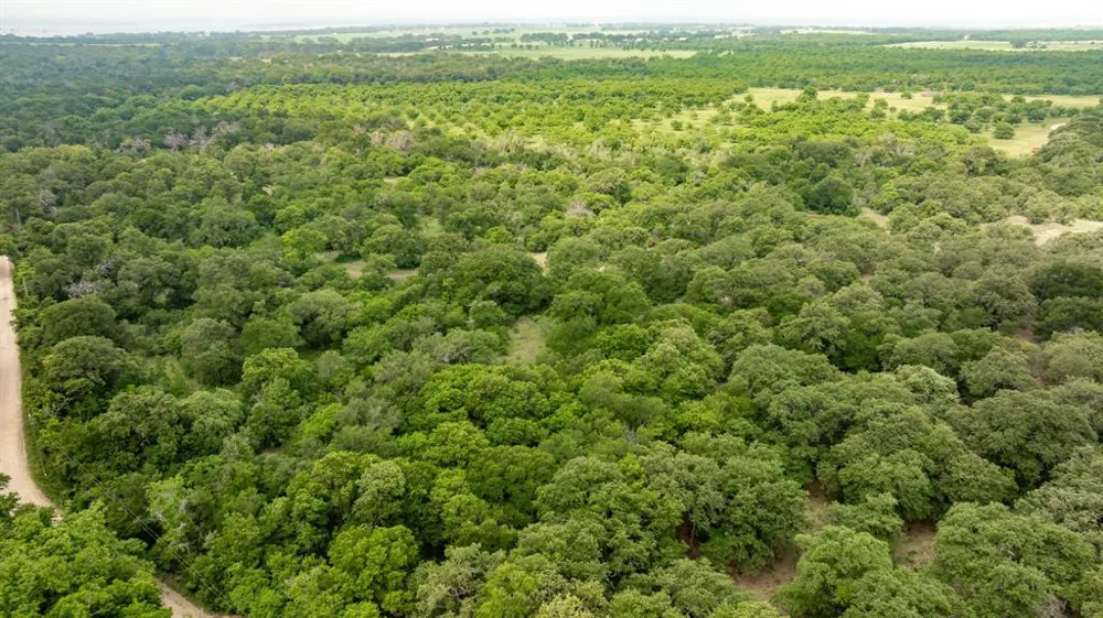 2850 County Road 434 Dublin, TX 76446