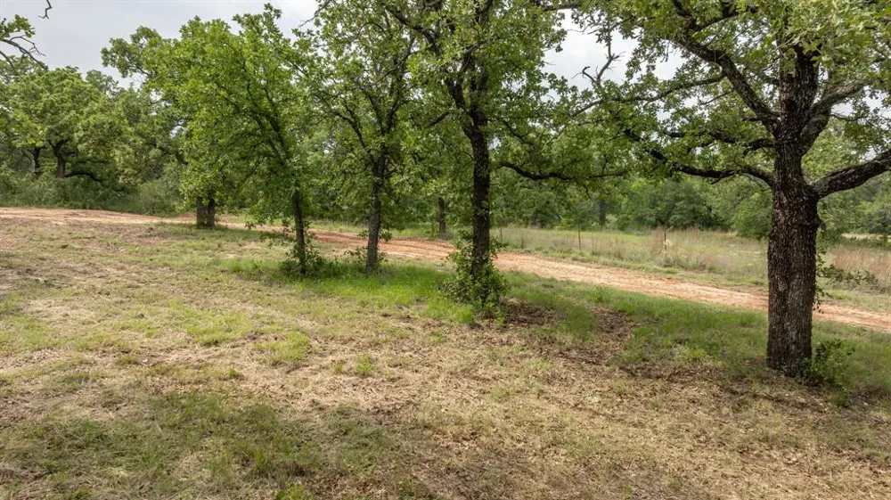 2850 County Road 434 Dublin, TX 76446
