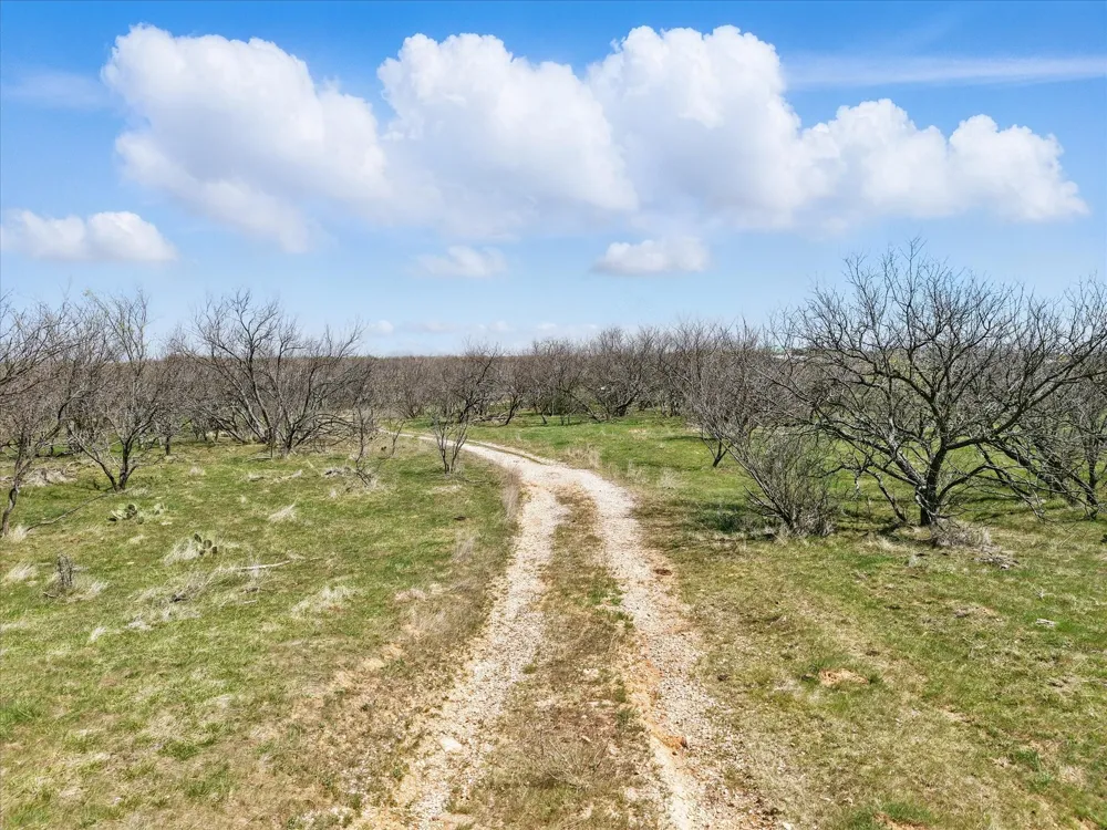Main Street Jacksboro, TX 76458