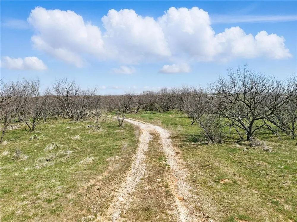 Main Street Jacksboro, TX 76458