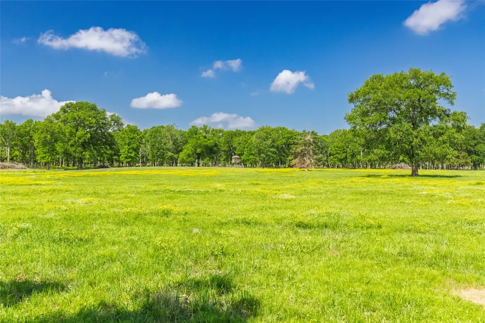300 County Road 3636 Road Dike, TX 75437