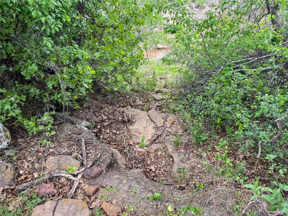 Shoreline Drive Cisco, TX 76437