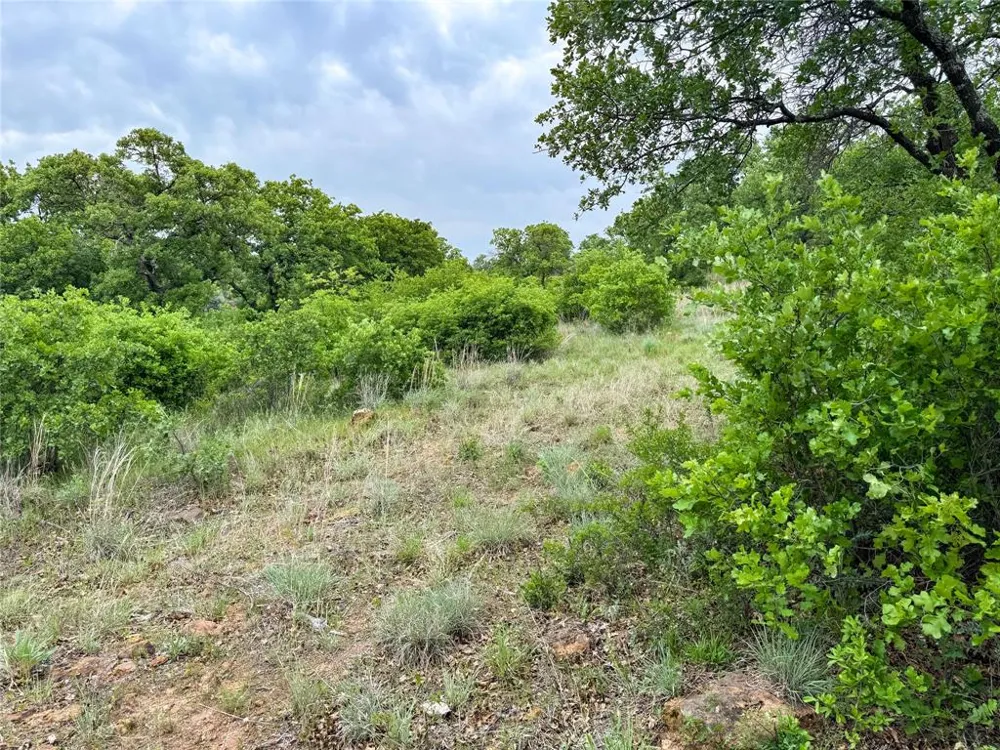 Shoreline Drive Cisco, TX 76437