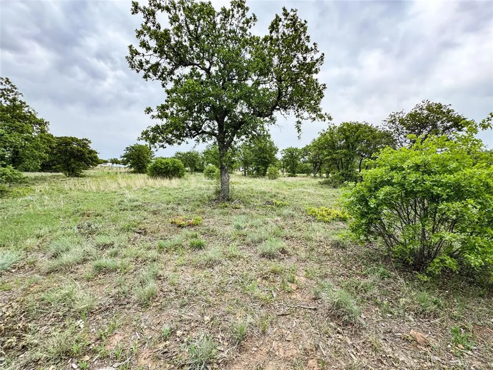 Shoreline Drive Cisco, TX 76437