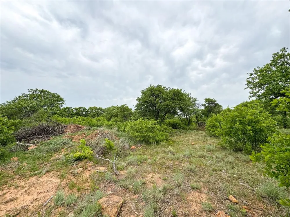 Shoreline Drive Cisco, TX 76437