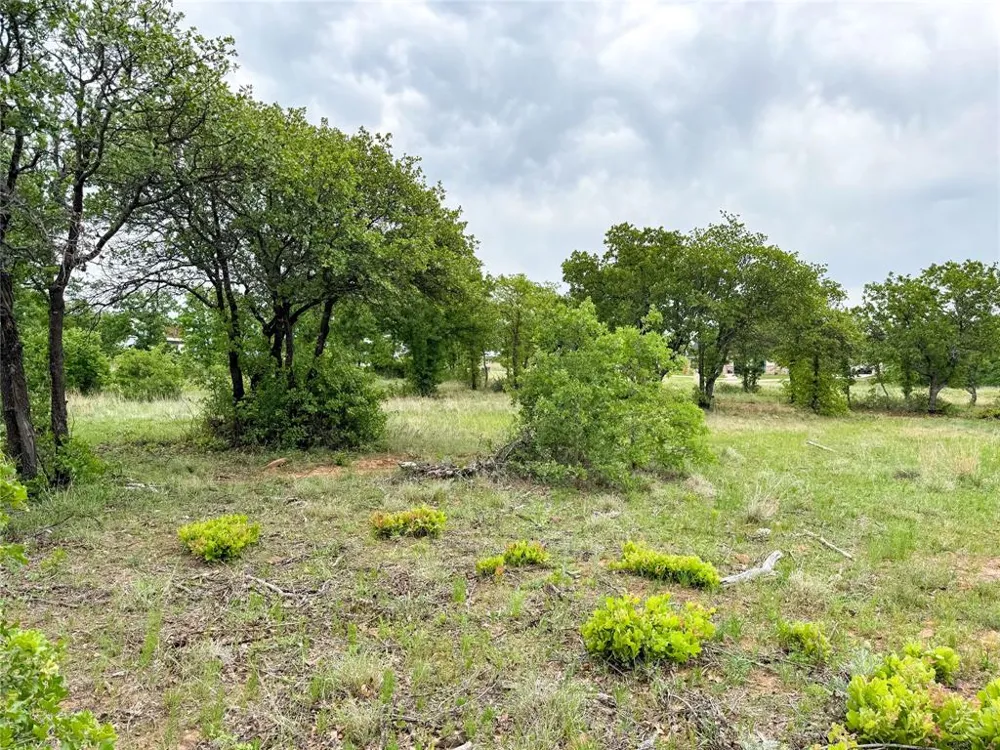 Shoreline Drive Cisco, TX 76437