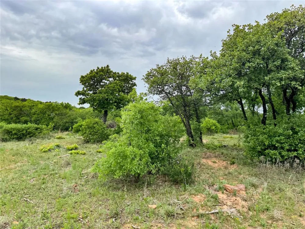 Shoreline Drive Cisco, TX 76437