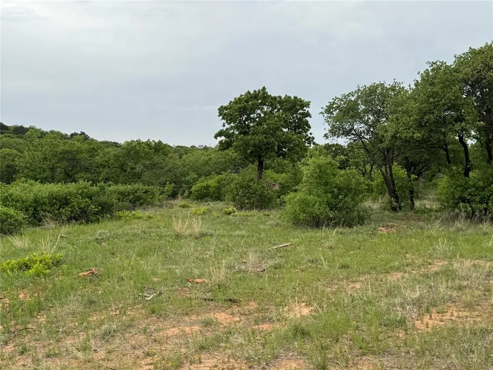 Shoreline Drive Cisco, TX 76437