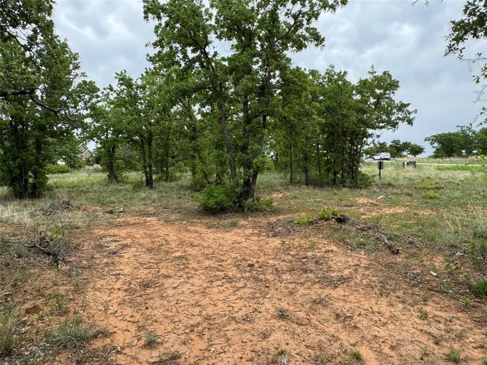 Shoreline Drive Cisco, TX 76437