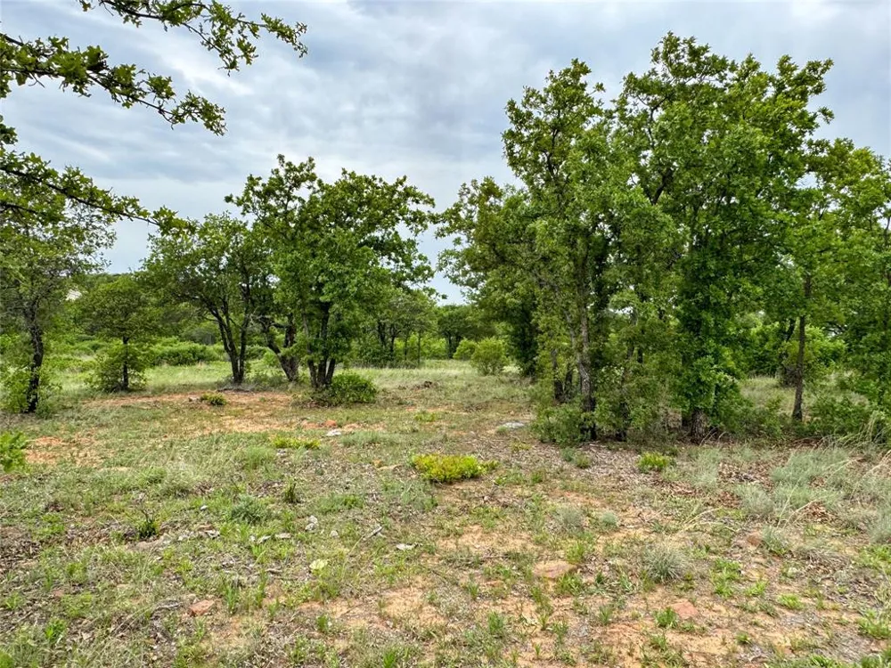 Shoreline Drive Cisco, TX 76437