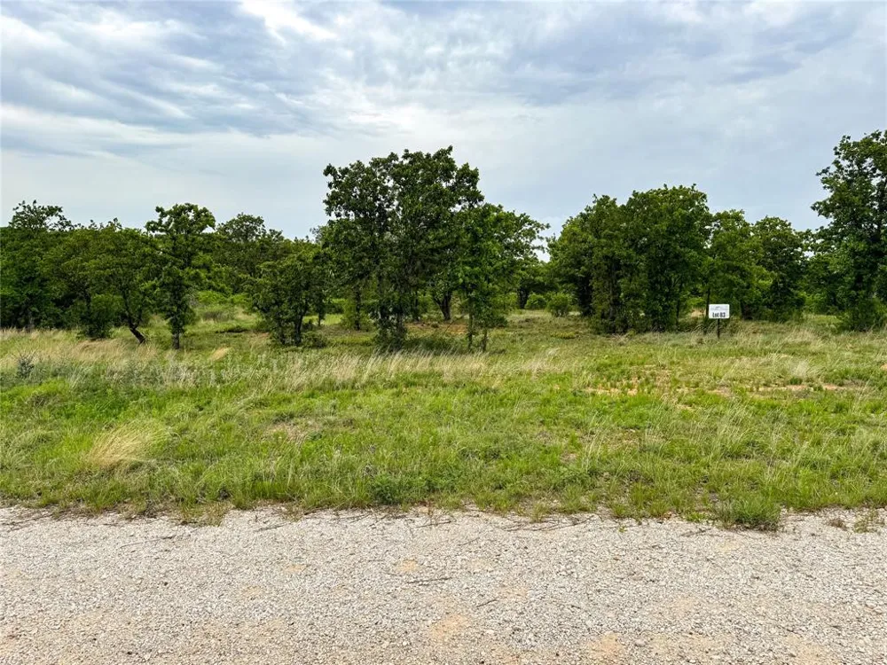 Shoreline Drive Cisco, TX 76437