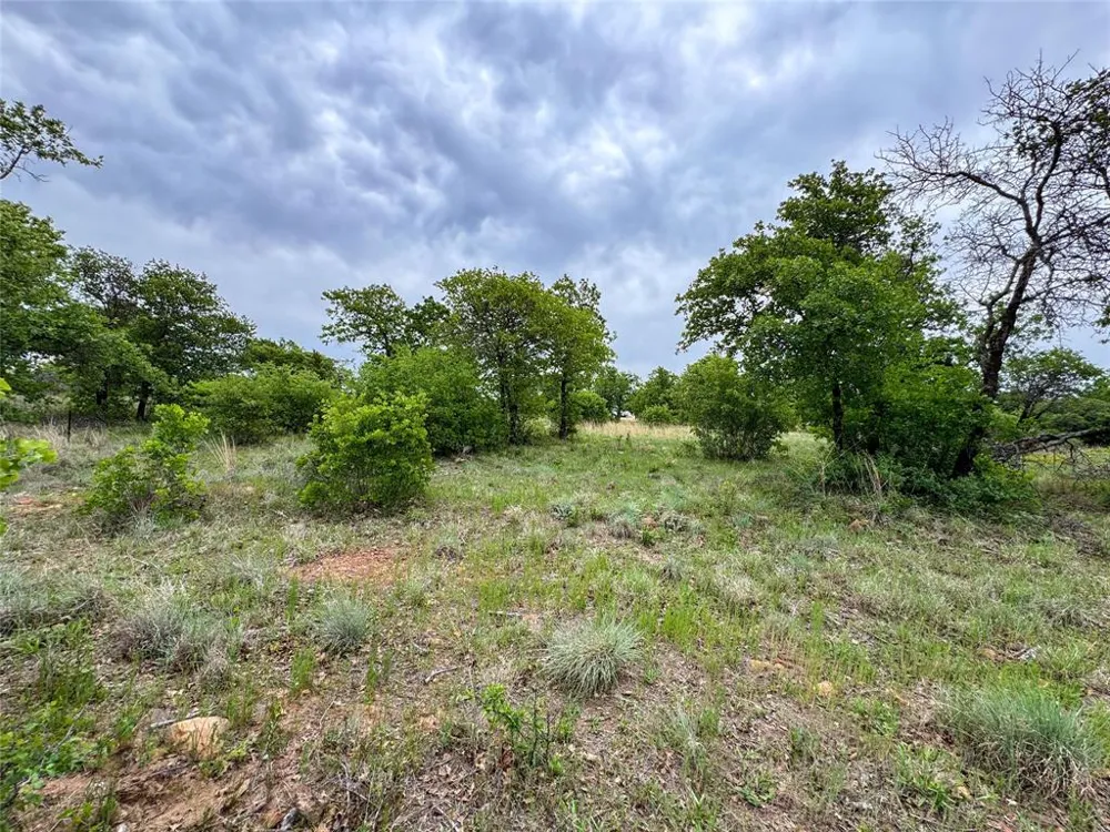 Shoreline Drive Cisco, TX 76437