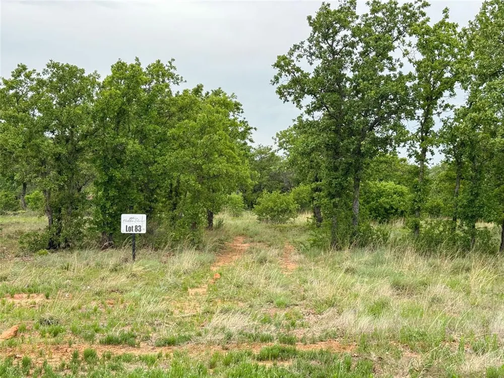 Shoreline Drive Cisco, TX 76437