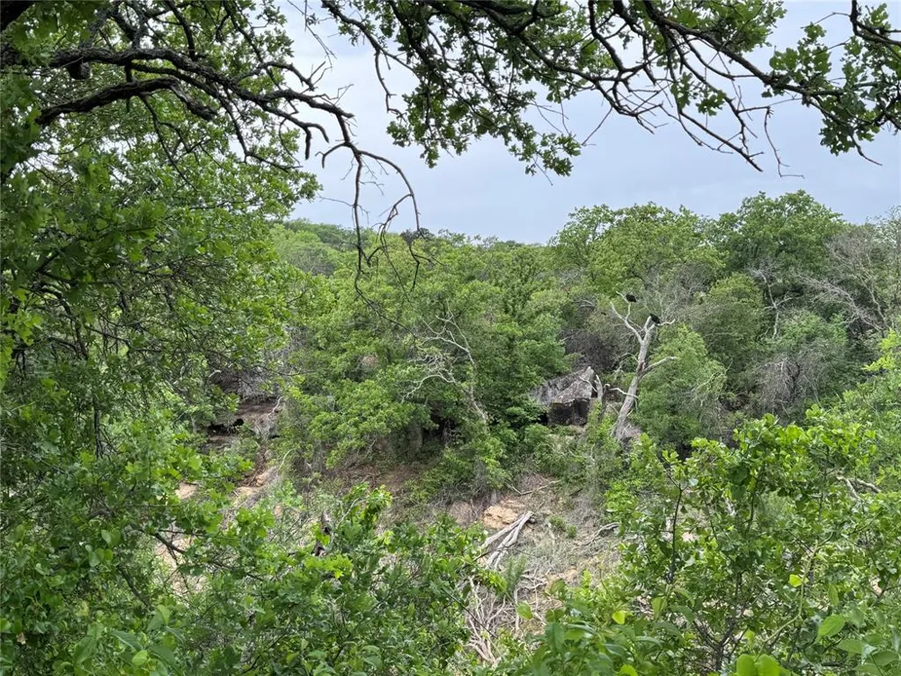 Shoreline Drive Cisco, TX 76437
