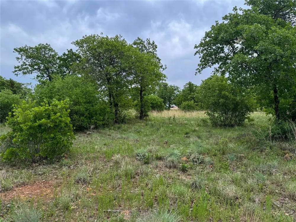 Shoreline Drive Cisco, TX 76437