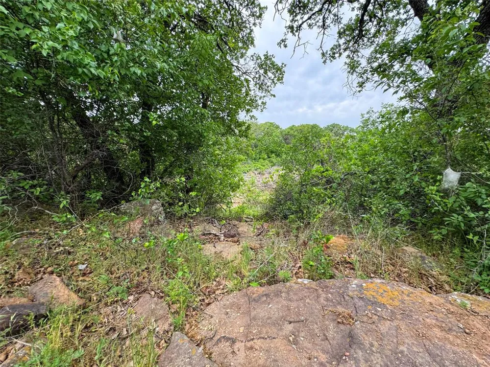 Shoreline Drive Cisco, TX 76437