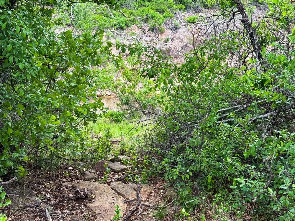 Shoreline Drive Cisco, TX 76437