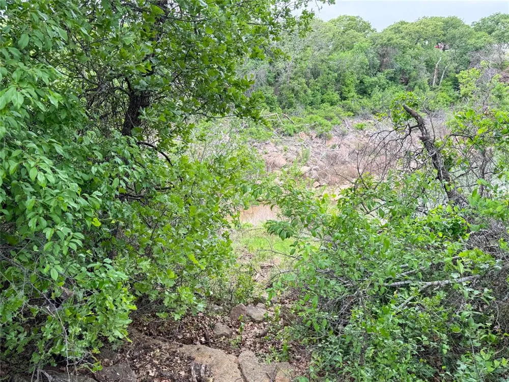 Shoreline Drive Cisco, TX 76437