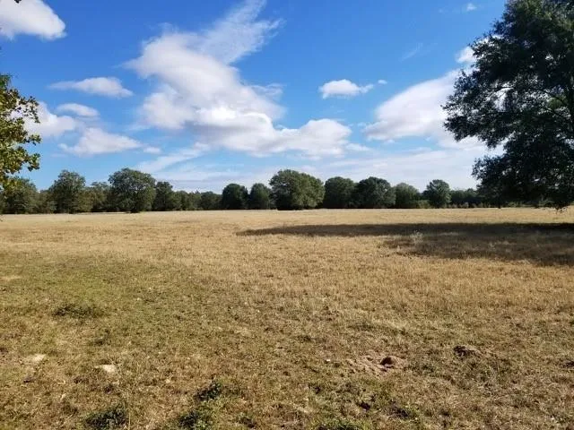 6526 Owensville Cemetery Road Franklin, TX 77856