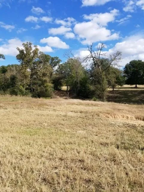 6526 Owensville Cemetery Road Franklin, TX 77856