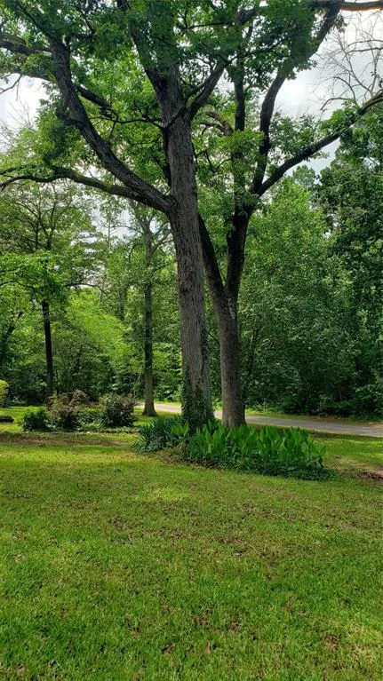 401 S Timberlane Lone Star, TX 75638