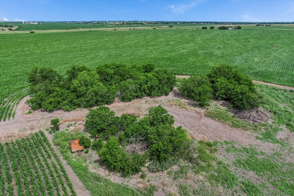 12500 Felder Lane Coupland, TX 78615