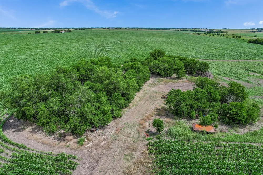 12500 Felder Lane Coupland, TX 78615