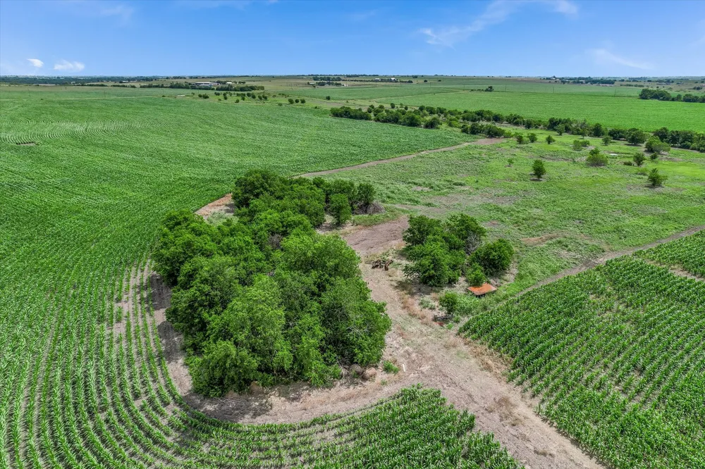 12500 Felder Lane Coupland, TX 78615