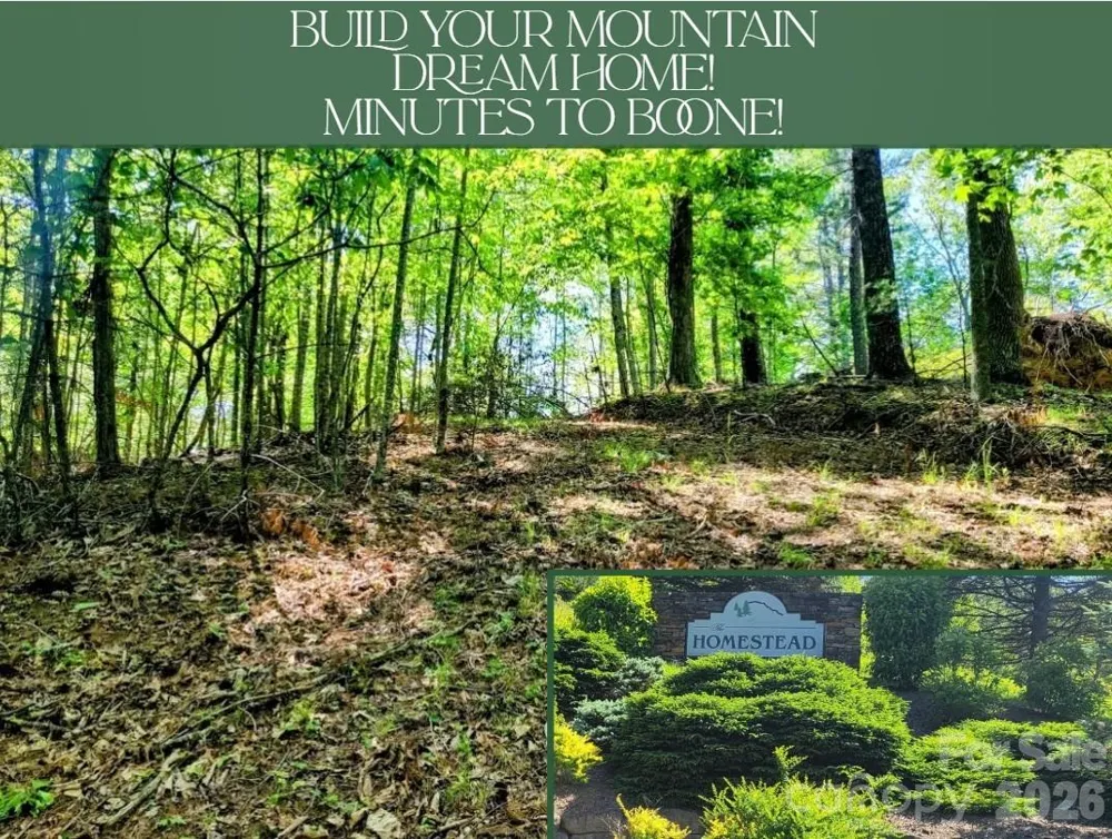 TBD Lucky Leaf Lane Vilas, NC 28692