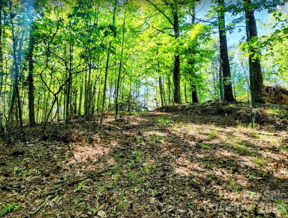 TBD Lucky Leaf Lane Vilas, NC 28692