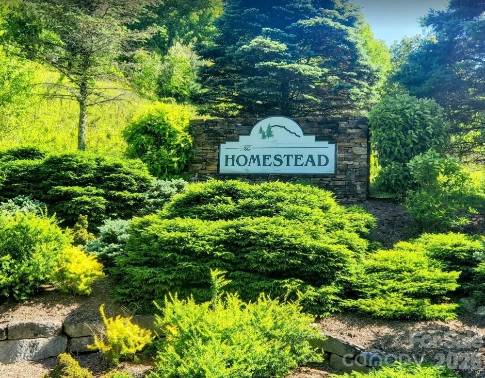 TBD Lucky Leaf Lane Vilas, NC 28692