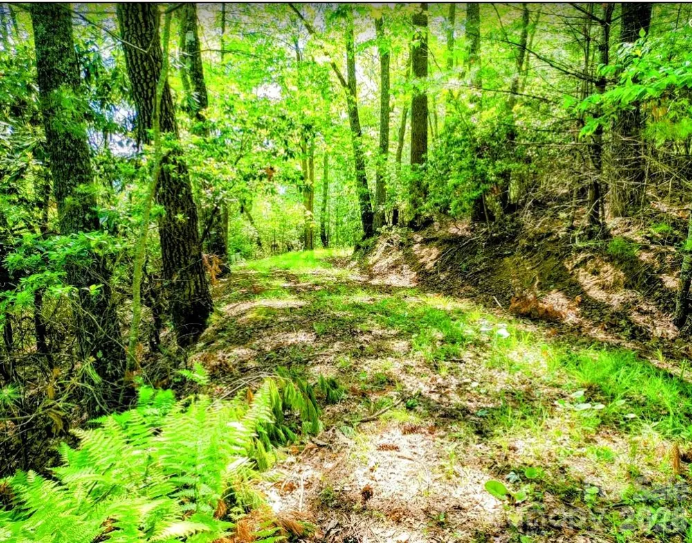 TBD Lucky Leaf Lane Vilas, NC 28692