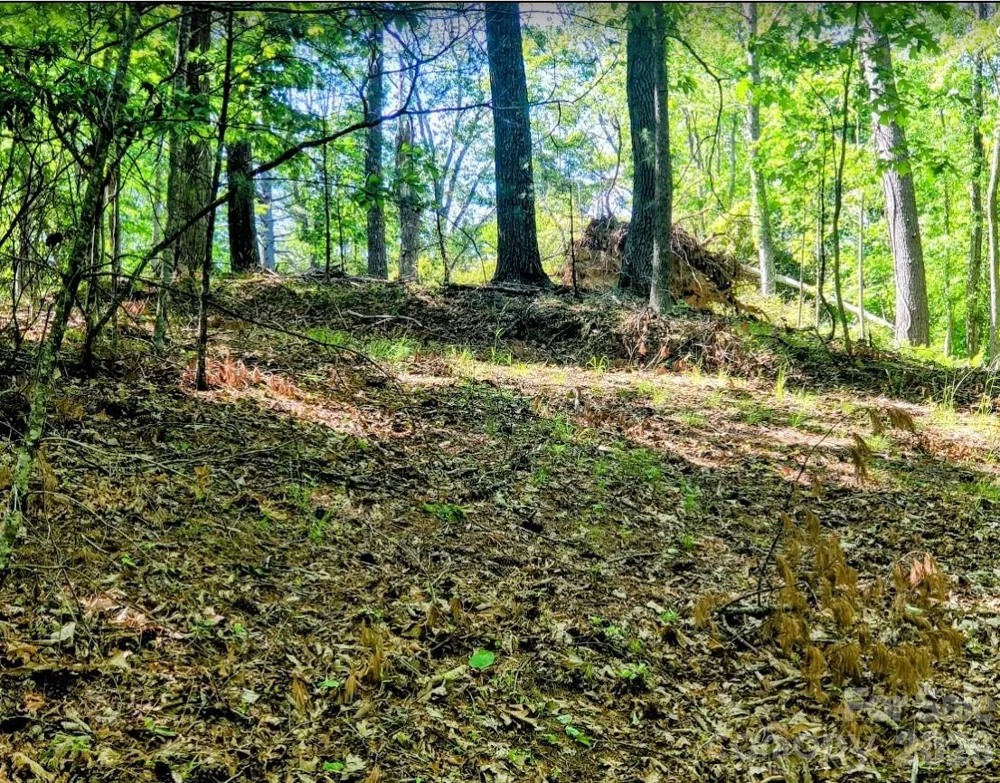 TBD Lucky Leaf Lane Vilas, NC 28692