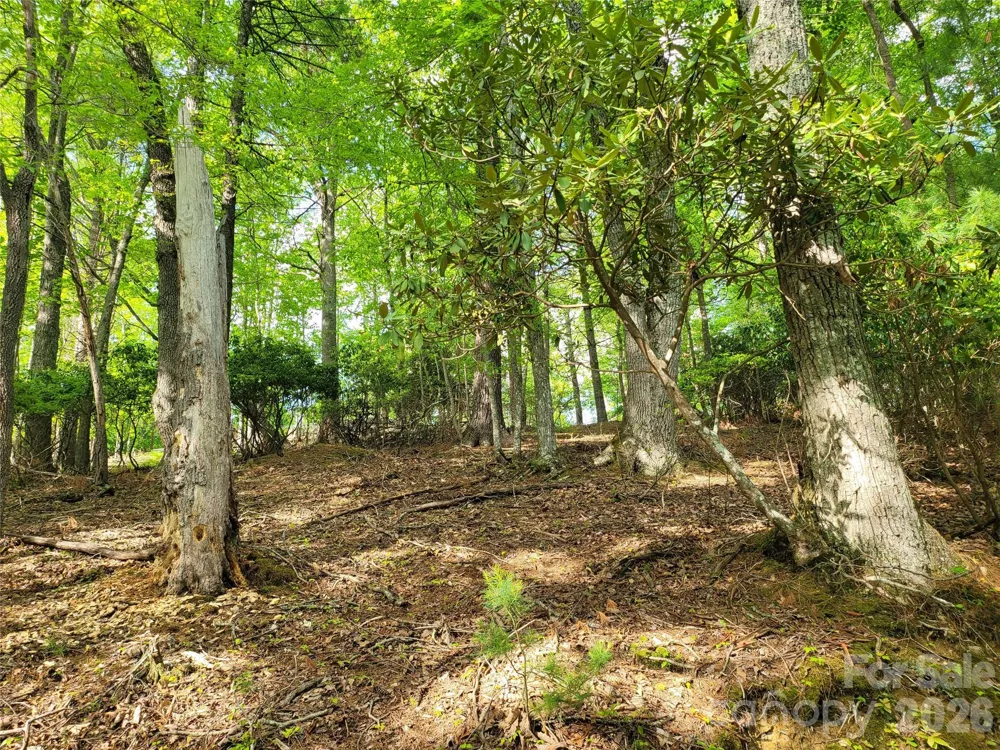 TBD Lucky Leaf Lane Vilas, NC 28692