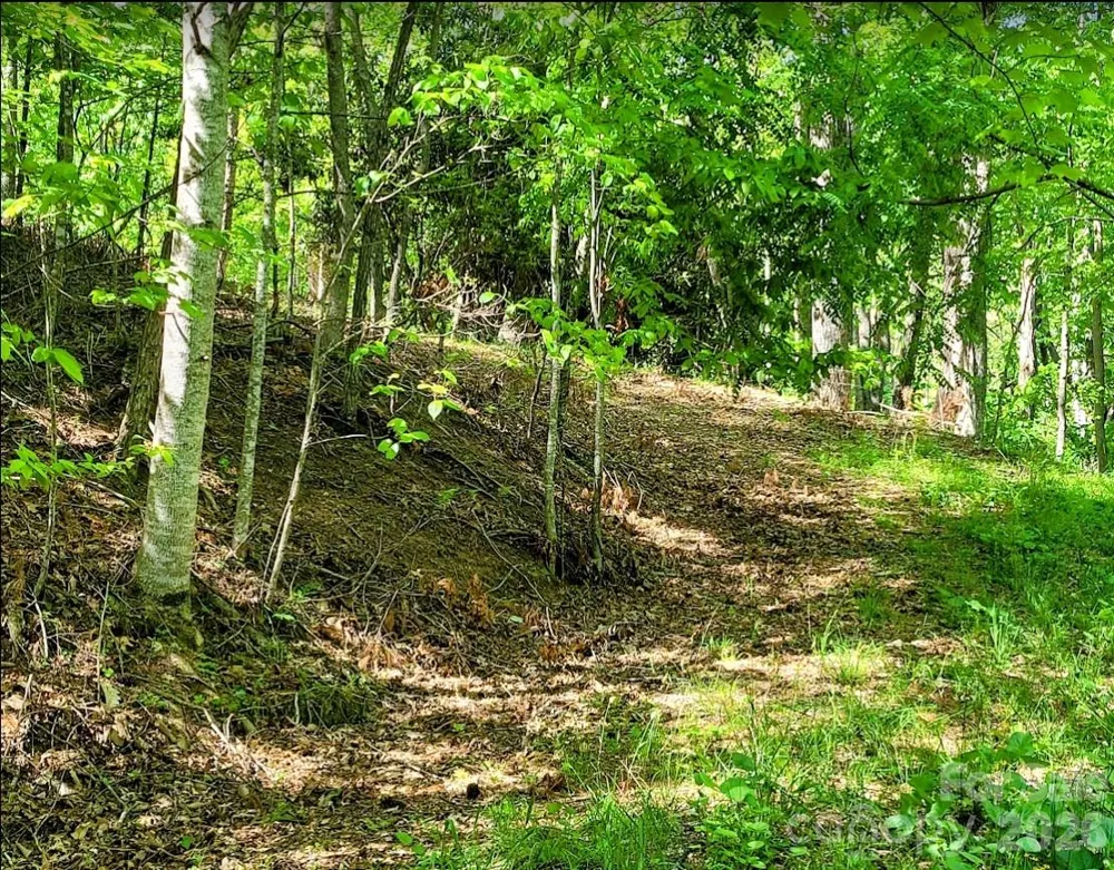 TBD Lucky Leaf Lane Vilas, NC 28692