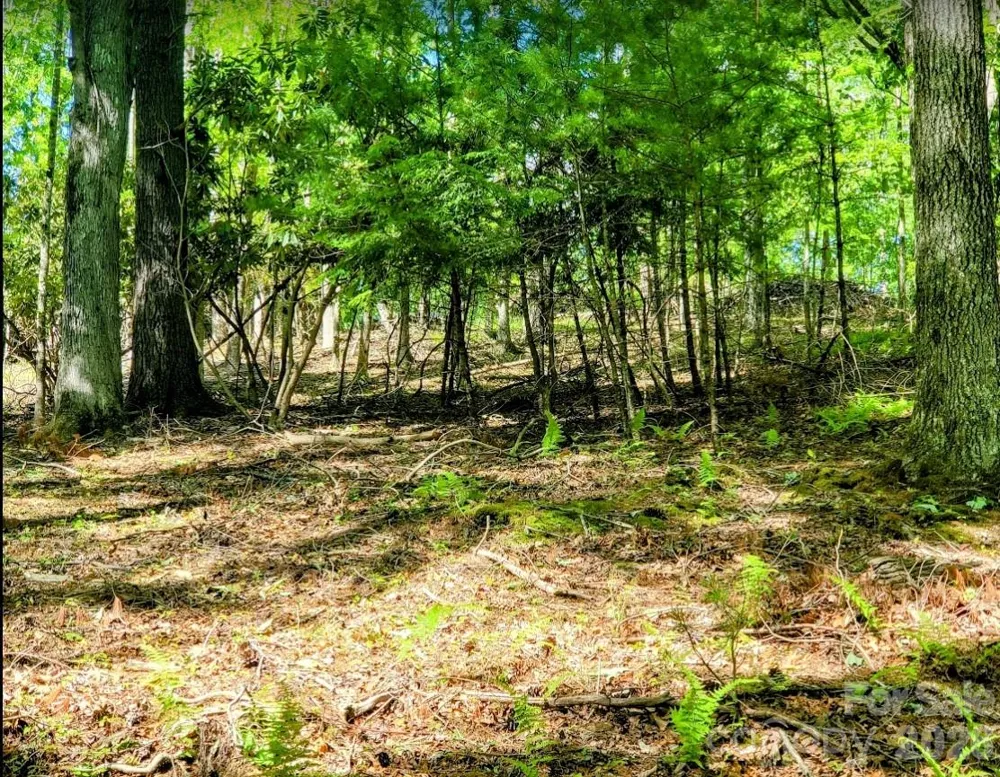 TBD Lucky Leaf Lane Vilas, NC 28692