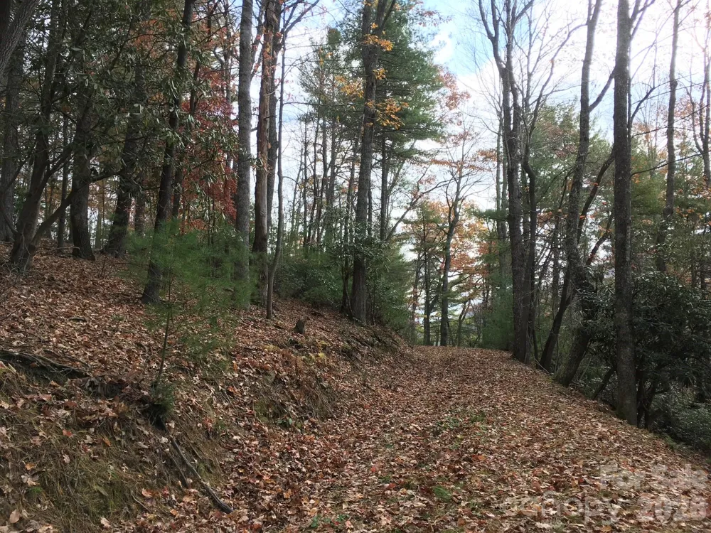 TBD Lucky Leaf Lane Vilas, NC 28692