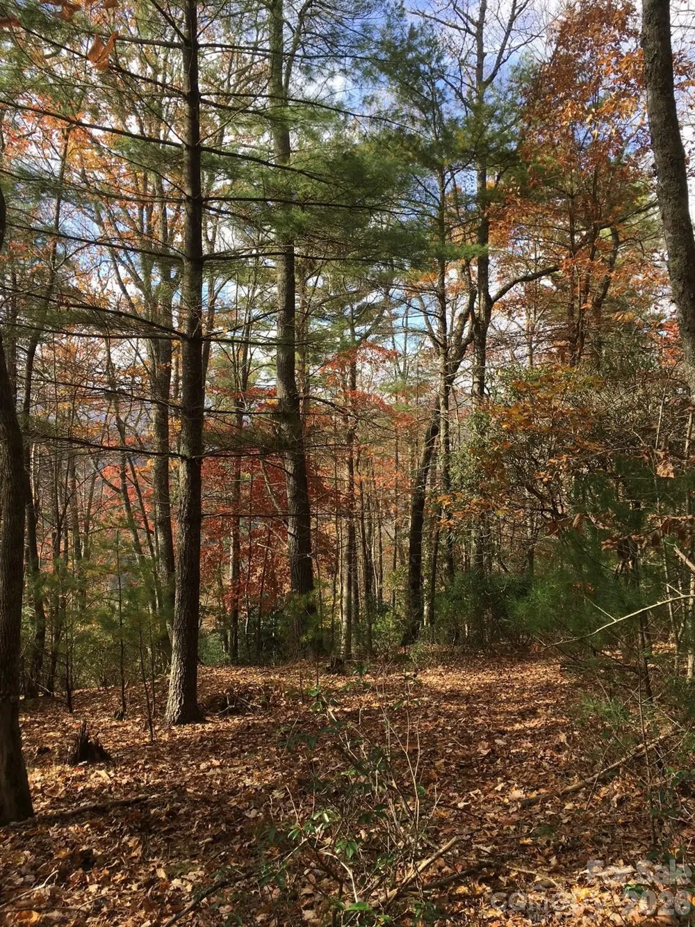 TBD Lucky Leaf Lane Vilas, NC 28692