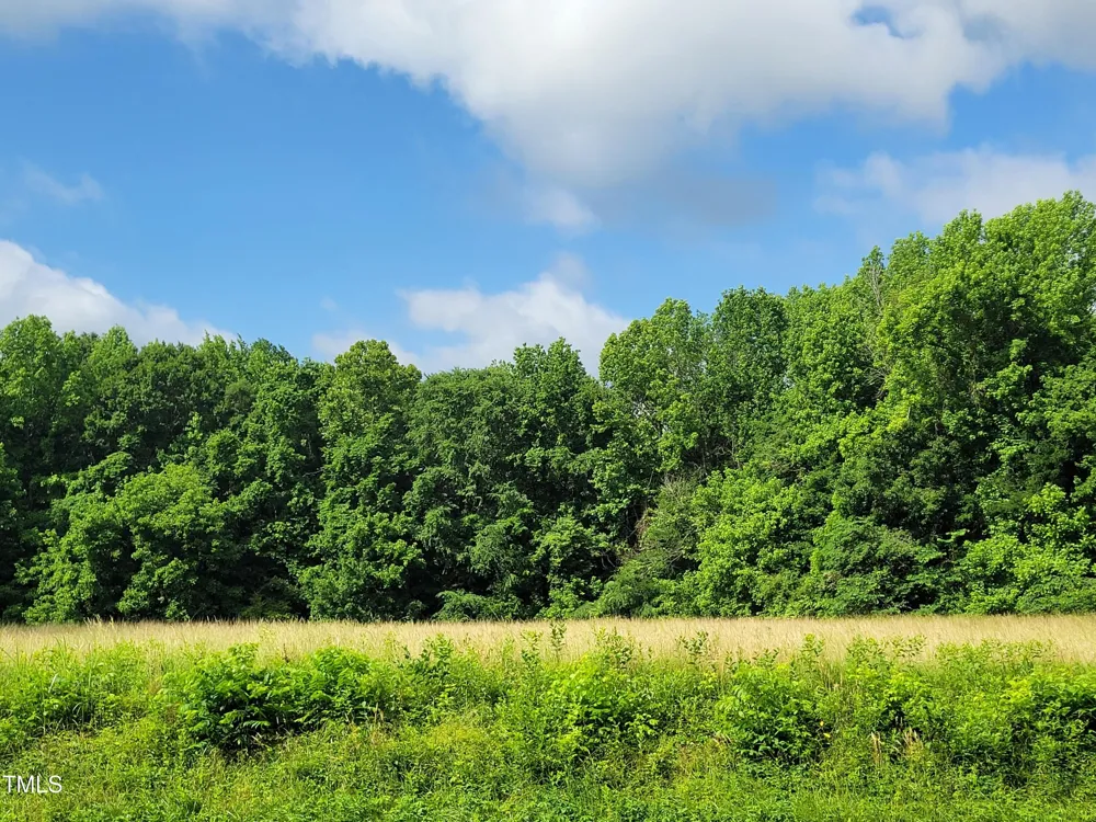 726 S Second Avenue Siler City, NC 27344