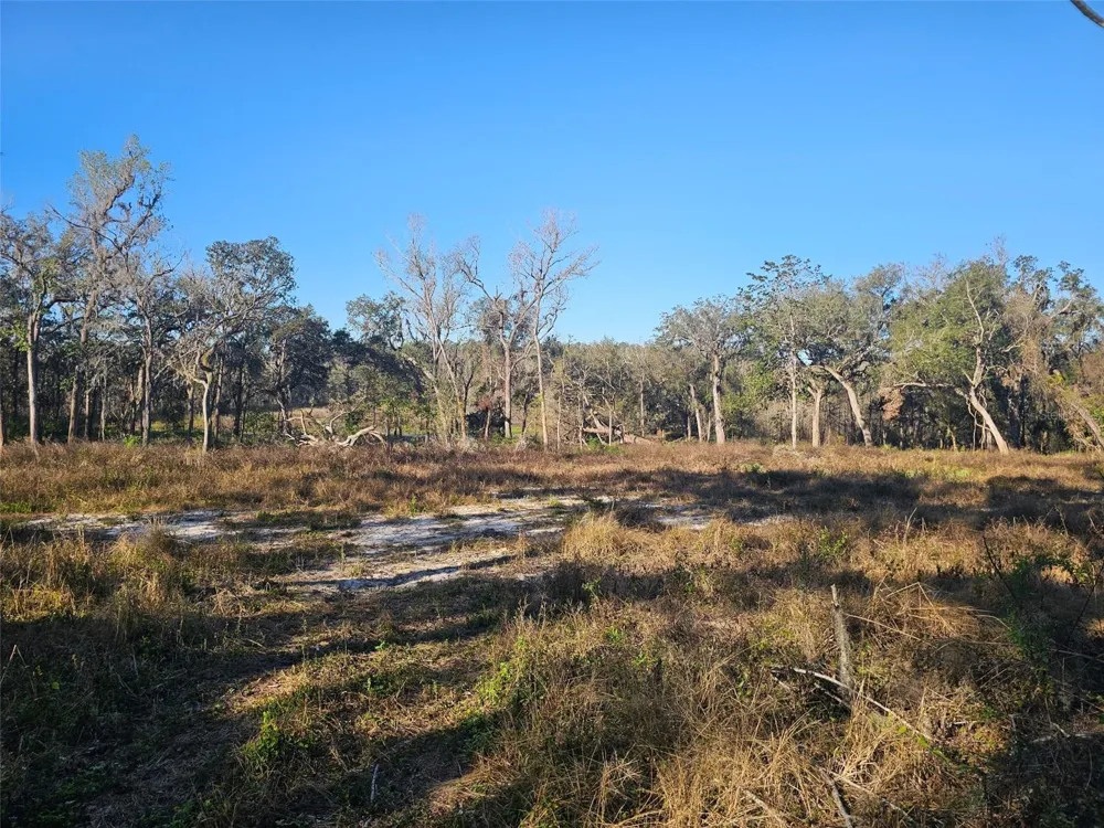 359 SAVANNAH OAKS DRIVE Brooksville, FL 34602