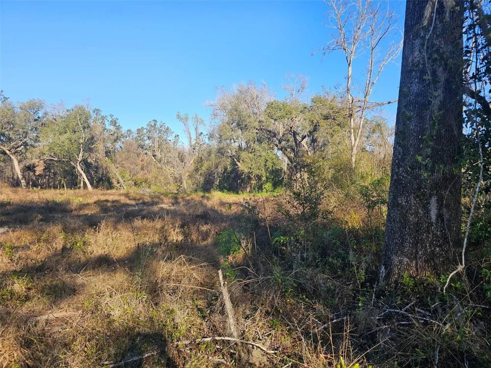 359 SAVANNAH OAKS DRIVE Brooksville, FL 34602