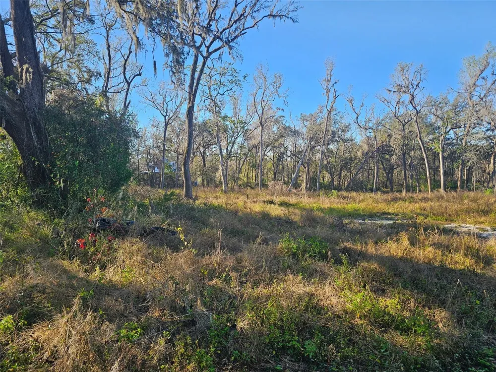 359 SAVANNAH OAKS DRIVE Brooksville, FL 34602