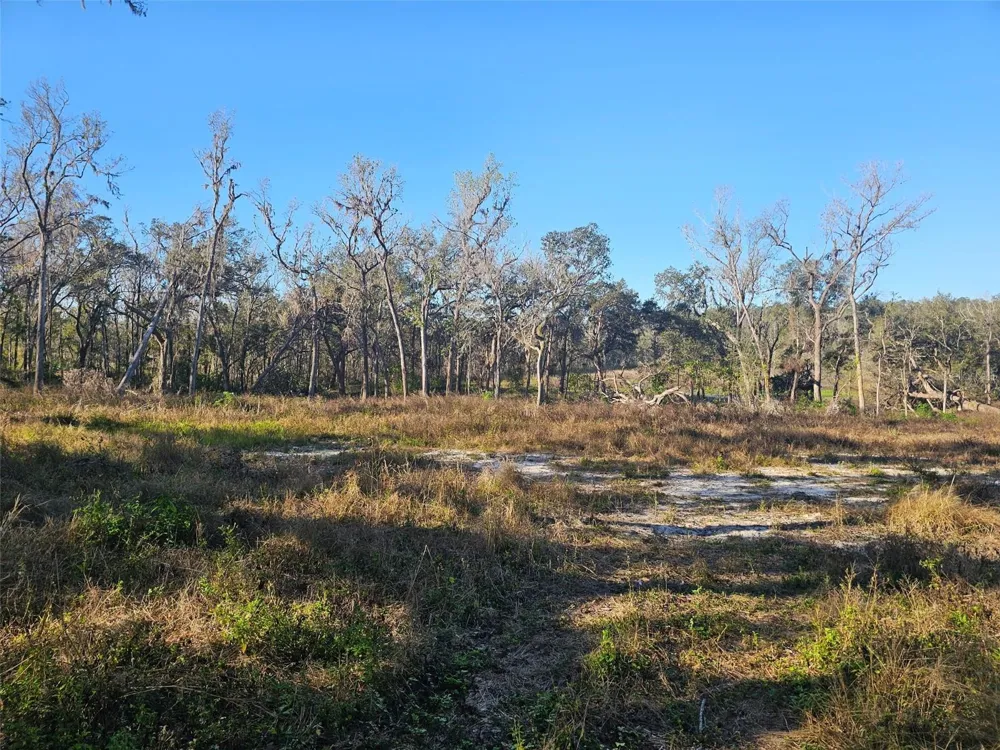 359 SAVANNAH OAKS DRIVE Brooksville, FL 34602