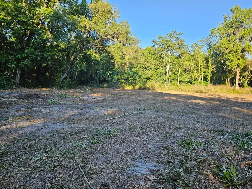 359 SAVANNAH OAKS DRIVE Brooksville, FL 34602