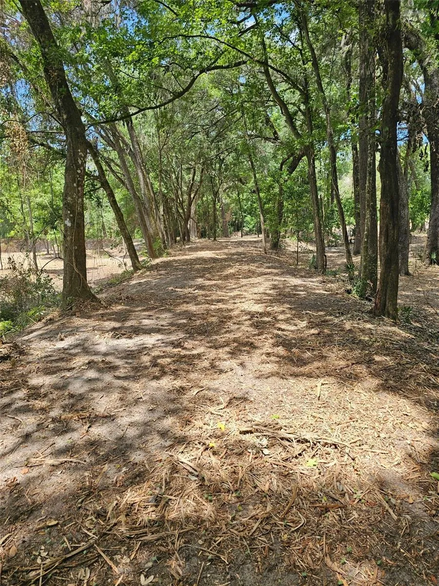 359 SAVANNAH OAKS DRIVE Brooksville, FL 34602