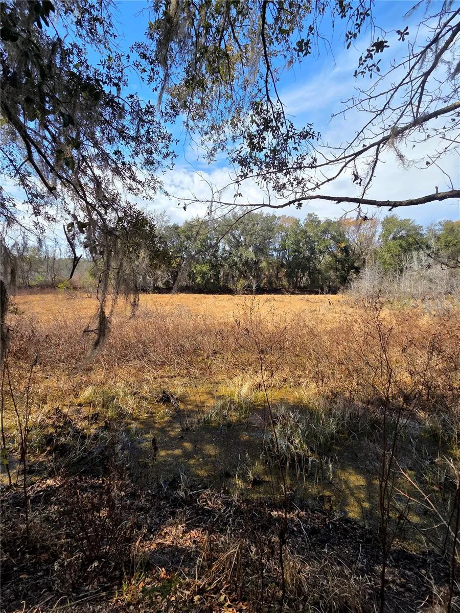 359 SAVANNAH OAKS DRIVE Brooksville, FL 34602