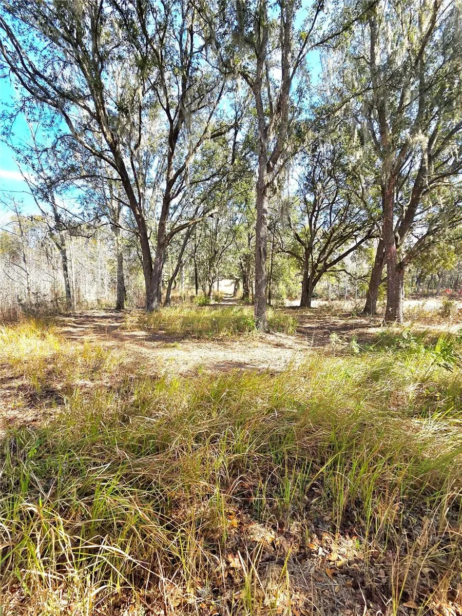 359 SAVANNAH OAKS DRIVE Brooksville, FL 34602