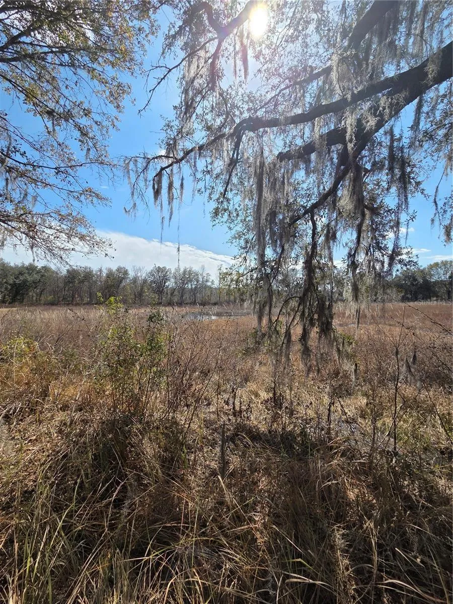 359 SAVANNAH OAKS DRIVE Brooksville, FL 34602