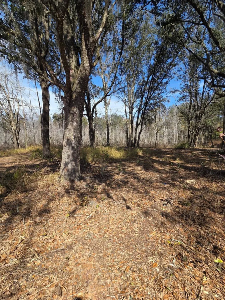 359 SAVANNAH OAKS DRIVE Brooksville, FL 34602